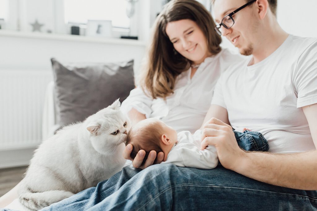Neugeborenenfotos mit Katzen